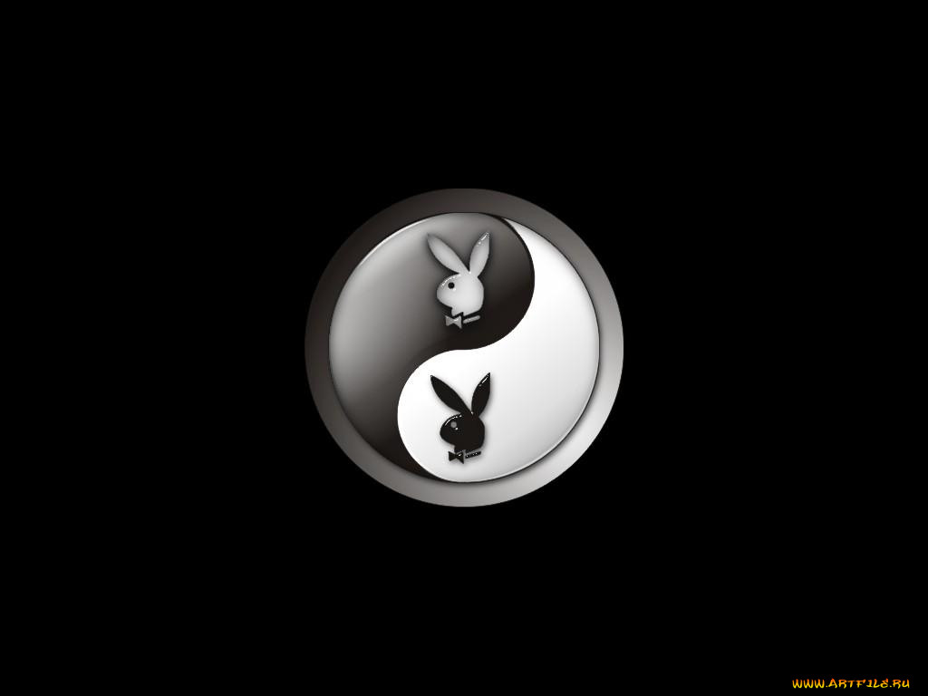 , playboy